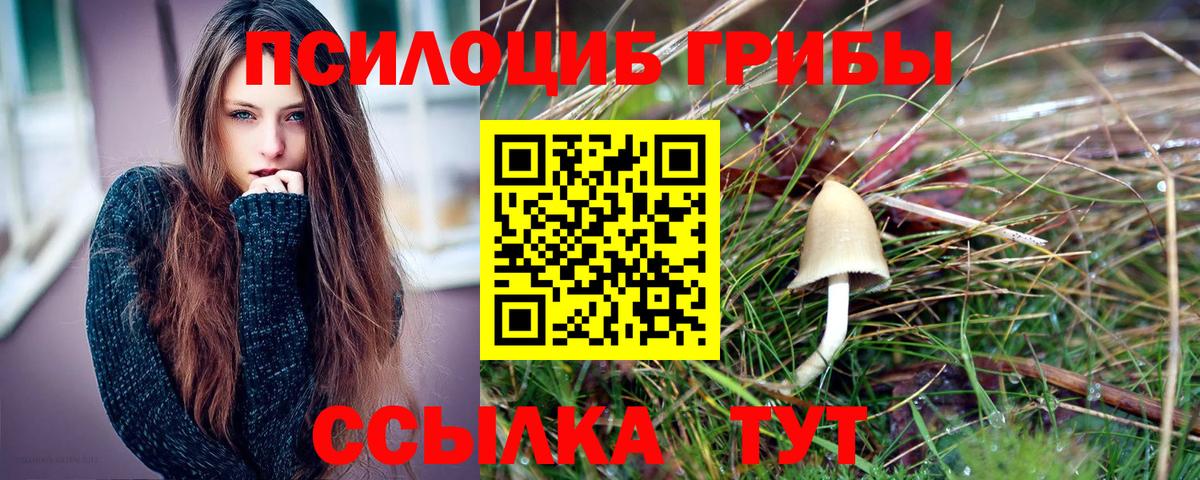 Балашиха  Псилоцибиновые грибы Magic Shrooms  Вход с VPN 