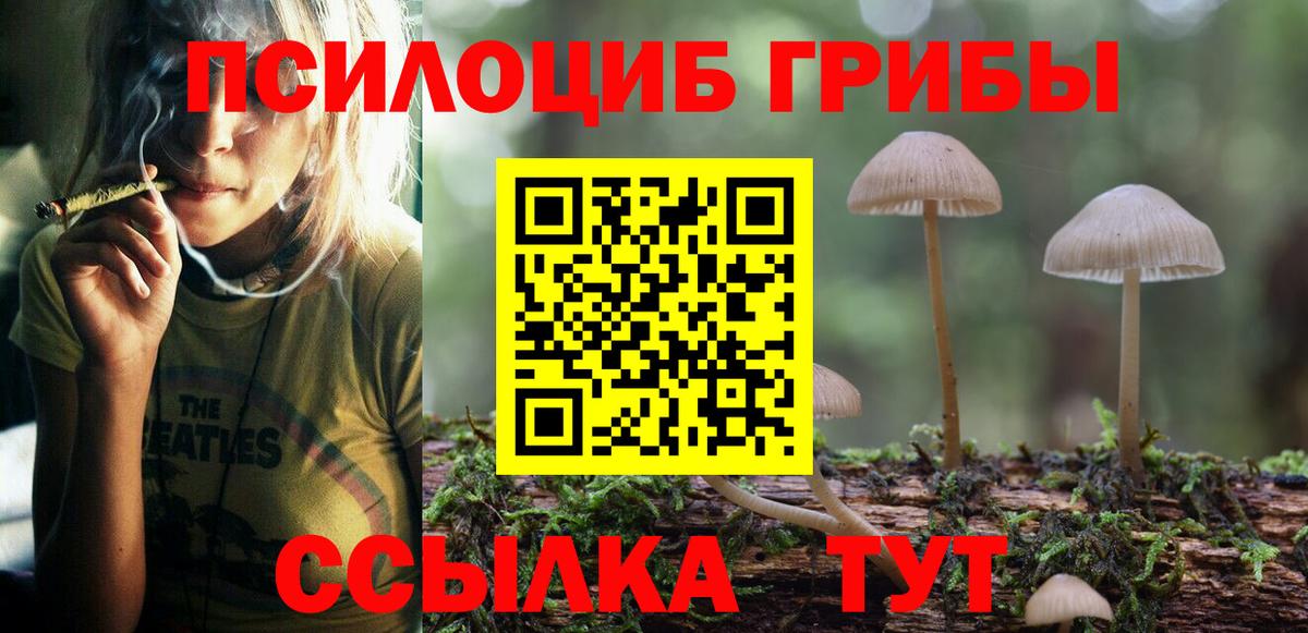 Галлюциногенные грибы GOLDEN TEACHER Балашиха